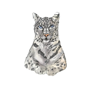 A3 Snow Leopard Art Print