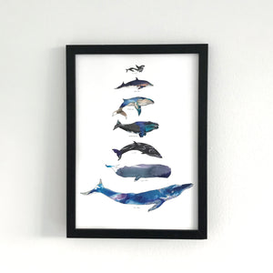 Whale Scale A4 Foiled Art Print