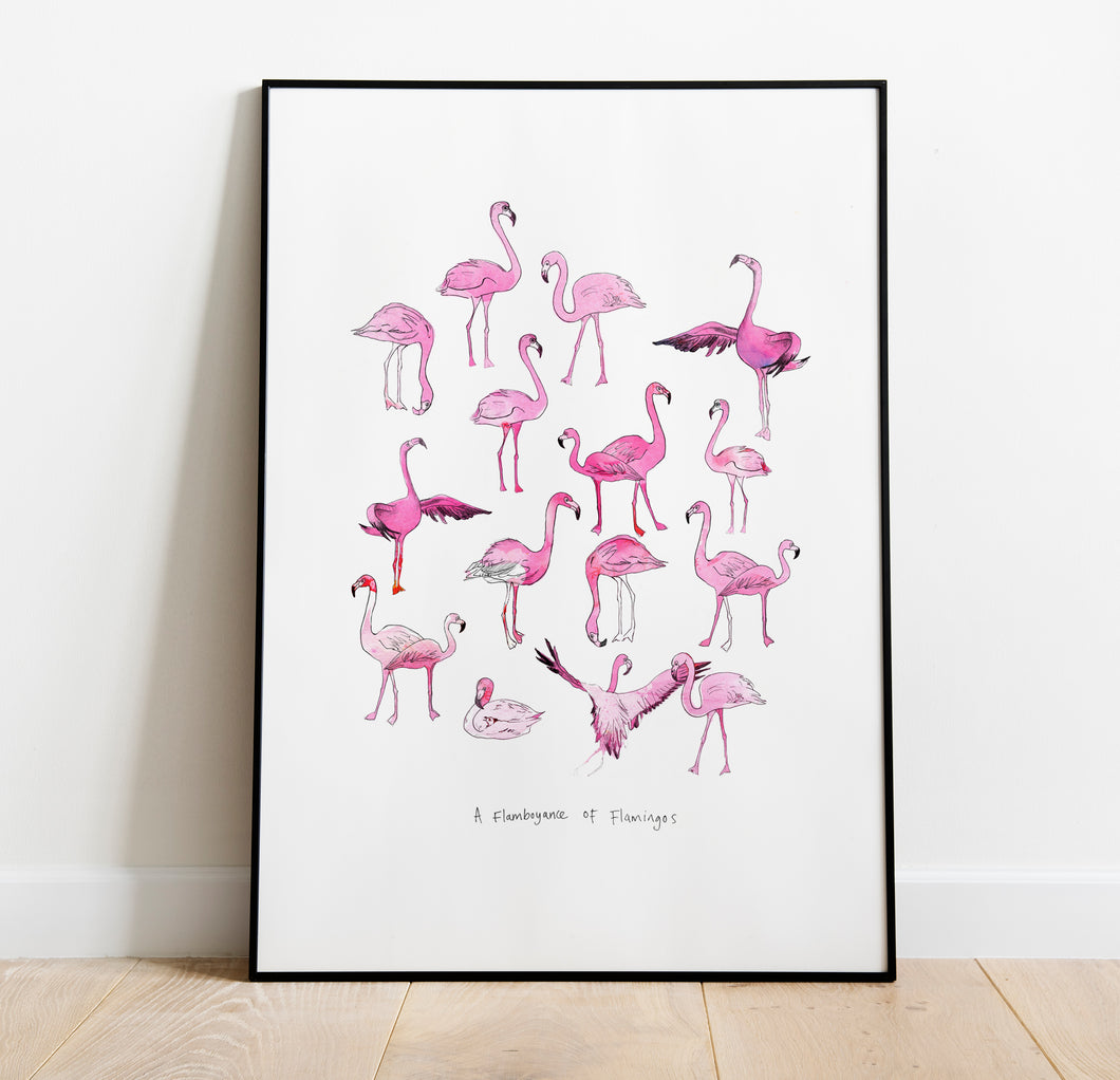 Flamboyance of Flamingos A4 Art Print