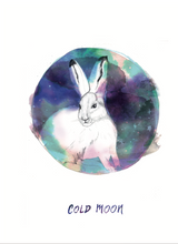 A6 Moon Animal Cards