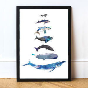 Large A2 Whale Art Print
