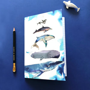 Whales of the World  A5 Notebook