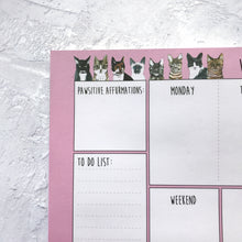 Crazy Cats Weekly Planner