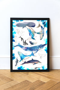Whales of the World Art Print