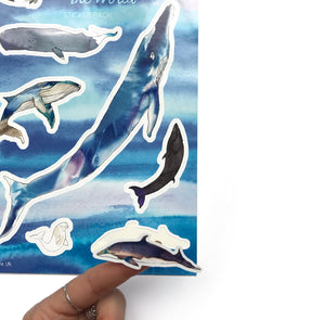 Whales of the World Sticker Set